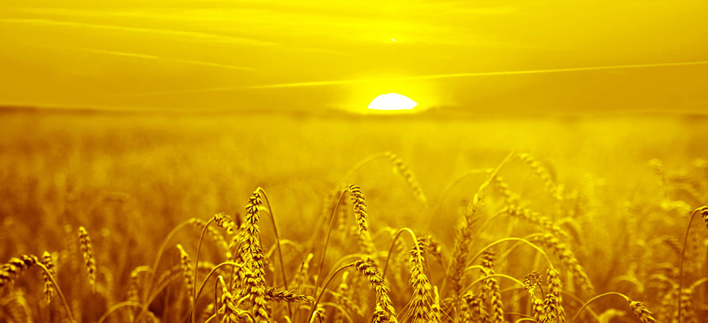 Нам подобається пропонувати кольорові рішення